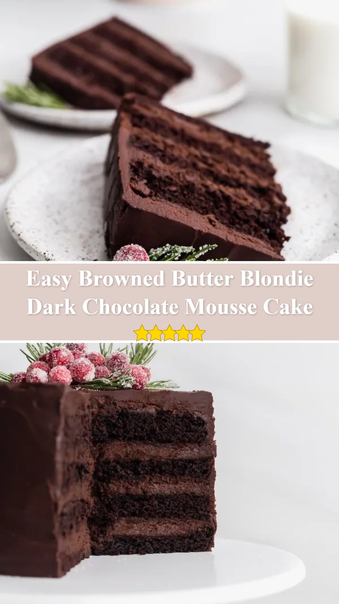Dark Chocolate Mousse Cake - Browned Butter Blondie