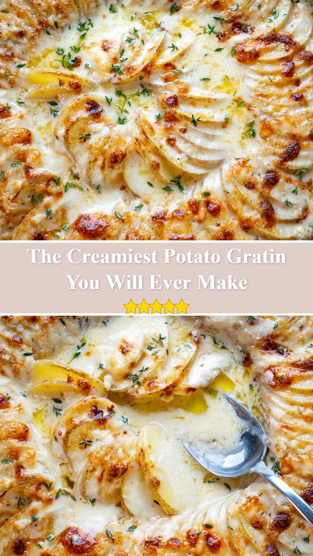 Potato Gratin